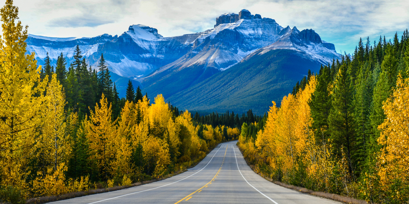 , Pitch & Bridge Summerside: International Startup Competition | SLP Canada x INPUT Program